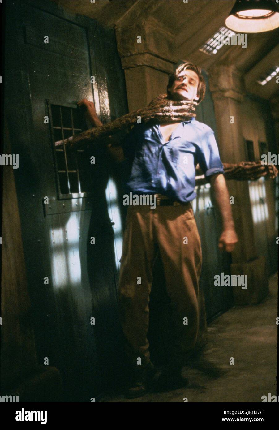 BILL PULLMAN, DIE SCHLANGE UND DER REGENBOGEN, 1988 Stockfoto
