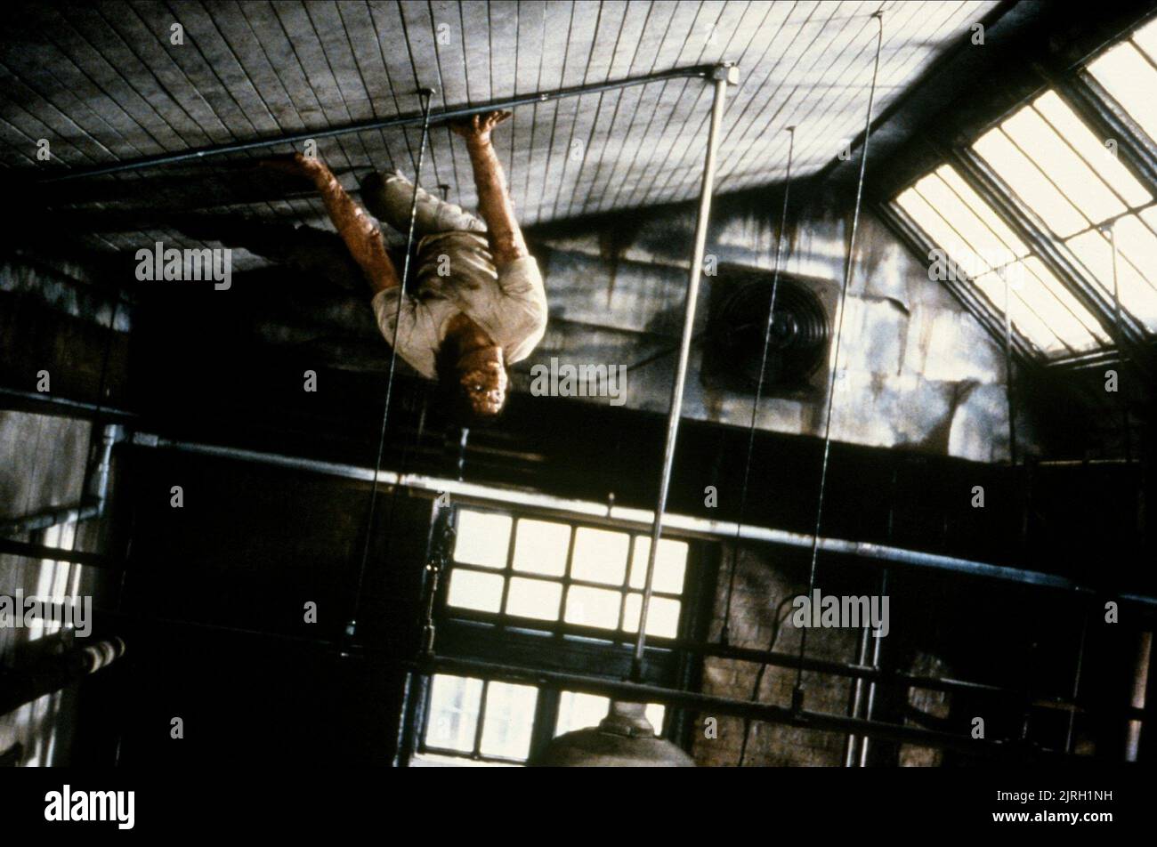 JEFF GOLDBLUM, die Fliege, 1986 Stockfoto