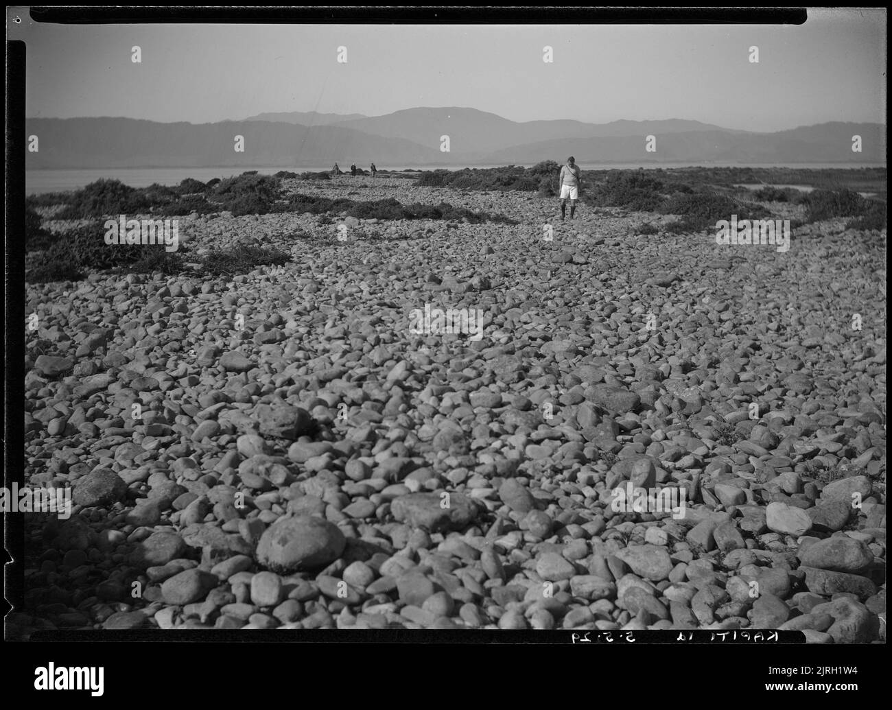 Besuch von Kapiti, Kapiti Island - 5. Mai 1929, 05. Mai 1929, von Leslie Adkin. Schenkung des Gutsbesitzes der Familie G. L. Adkin, 1964. Stockfoto