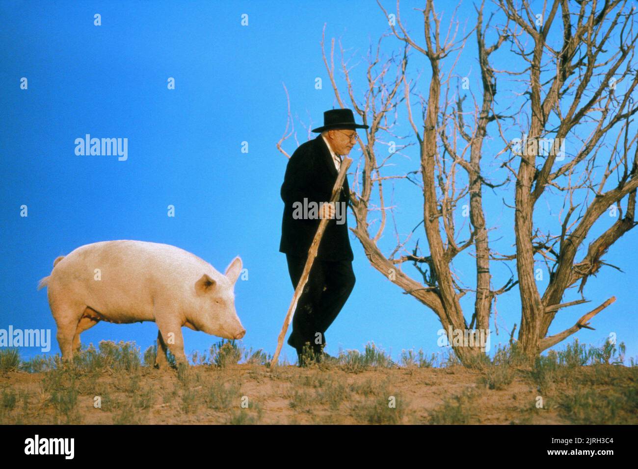 Das Schwein, CARLOS RIQUELME, der milagro BEANFIELD KRIEG, 1988 Stockfoto