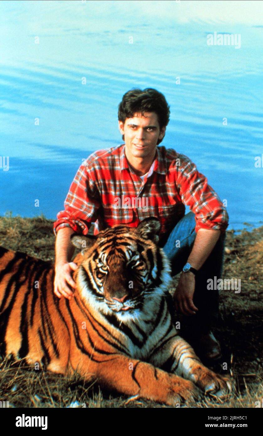 C THOMAS HOWELL, TIGER, Tiger Märchen, 1987 Stockfoto
