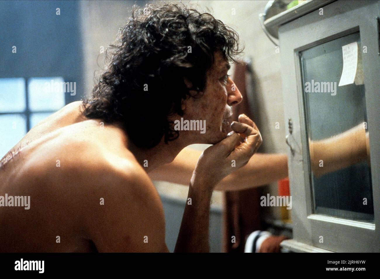 The fly 1986 jeff goldblum Fotos und Bildmaterial in hoher Auflösung Alamy