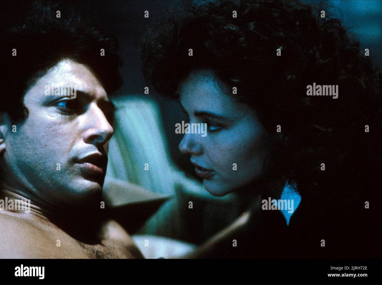 The fly 1986 jeff goldblum Fotos und Bildmaterial in hoher Auflösung Alamy