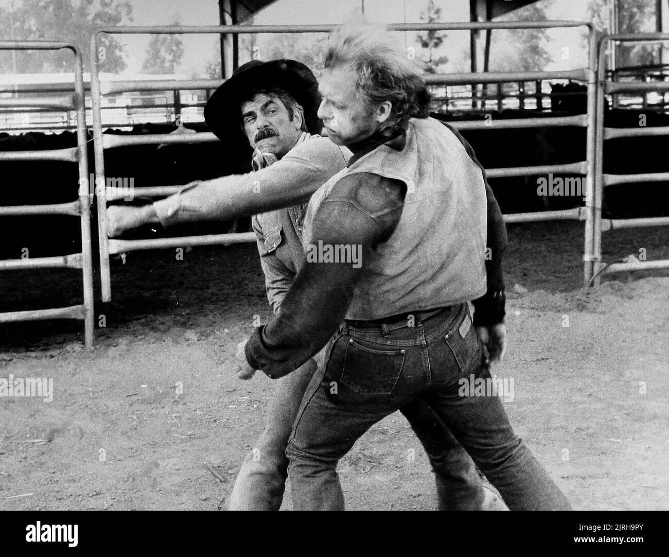 SAM ELLIOTT, DAVID SOUL, DIE GELBE ROSE, 1983 Stockfoto
