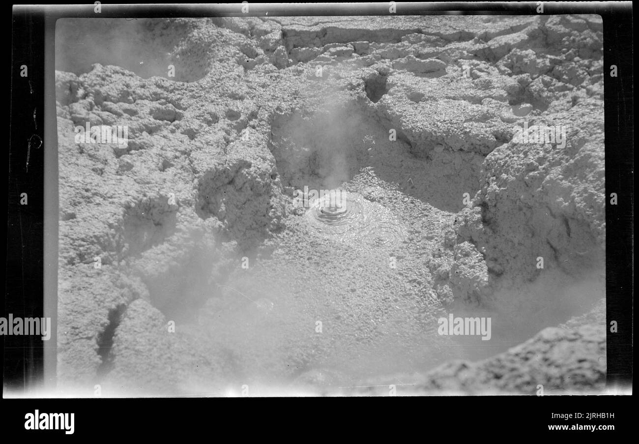 [Geothermal Pool], 1920s-1930s, Rotorua, von Roland Searle. Stockfoto