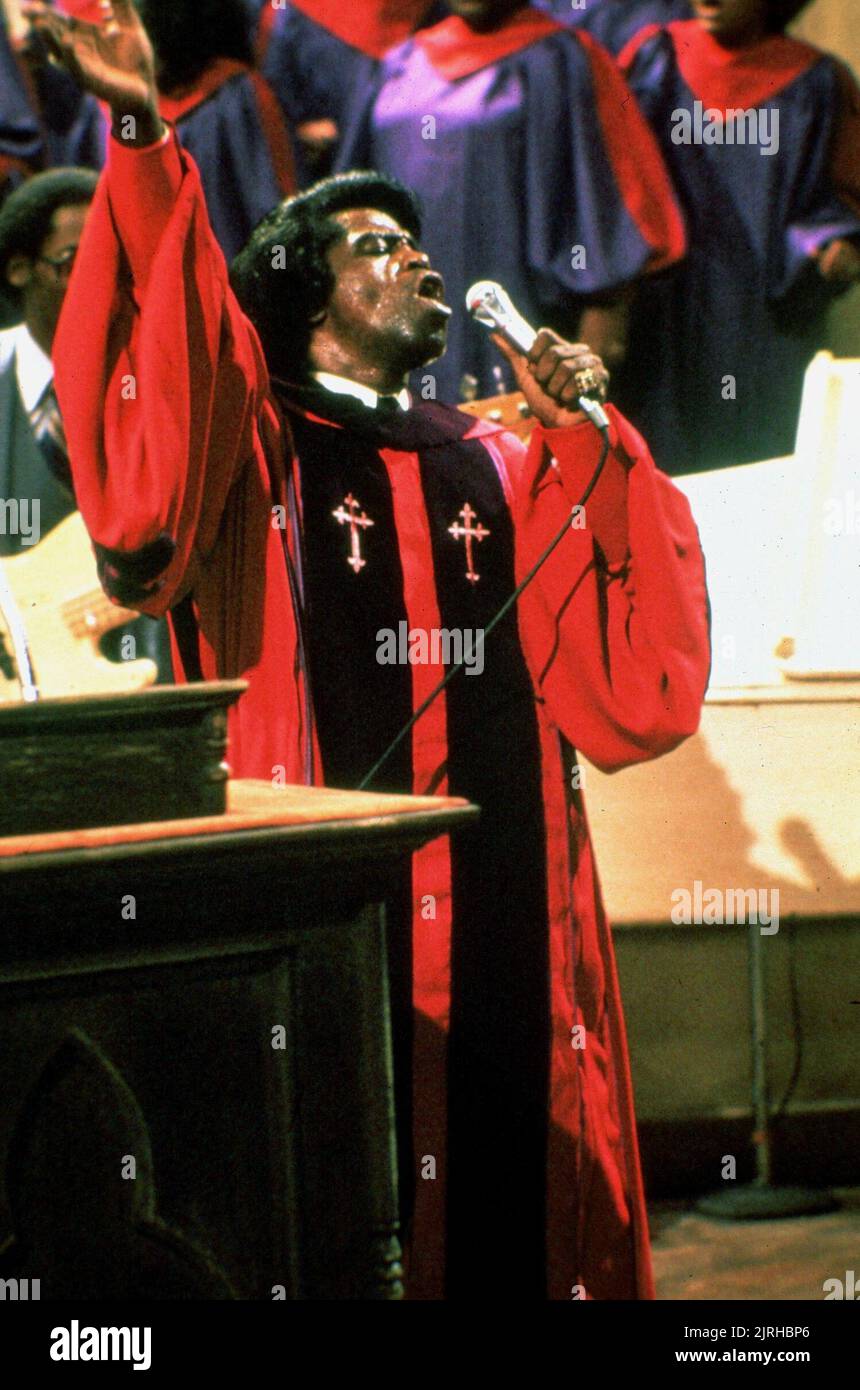 JAMES BROWN, DIE BLUES-BRÜDER, 1980 Stockfoto