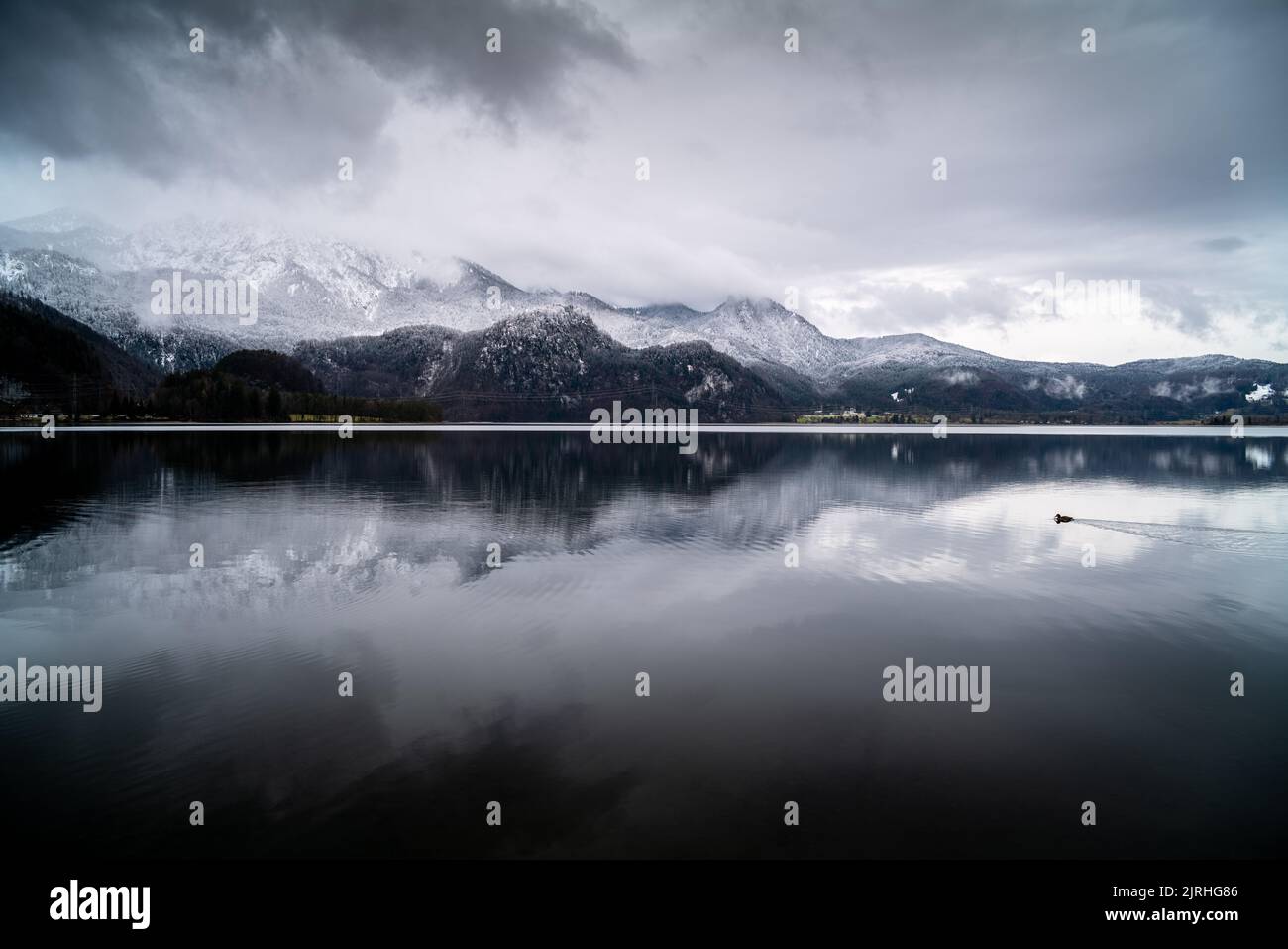 Verschneite Winterlandschaft spiegelt sich im Kochelsee, Bayern, Deutschland Stockfoto