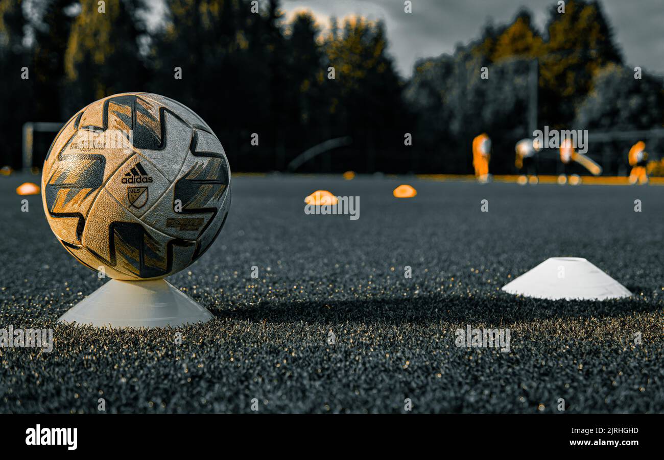 Nahaufnahme eines Adidas Nativo MLS Fußballs auf dem Spielfeld Stockfoto