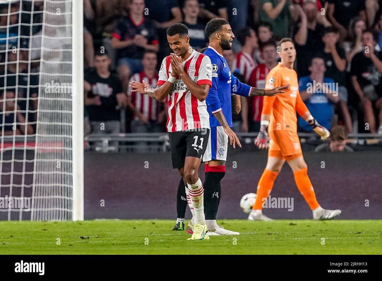 EINDHOVEN, NIEDERLANDE - 24. AUGUST: Cody Gakpo vom PSV während des UEFA Champions League Play-Off Second Leg Matches zwischen PSV und Rangers am 24. August 2022 im Philips Stadion in Eindhoven, Niederlande (Foto: Andre Weening/Orange Picles) Stockfoto
