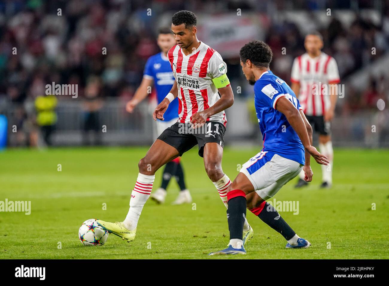 EINDHOVEN, NIEDERLANDE - 24. AUGUST: Cody Gakpo vom PSV während des UEFA Champions League Play-Off Second Leg Matches zwischen PSV und Rangers am 24. August 2022 im Philips Stadion in Eindhoven, Niederlande (Foto: Andre Weening/Orange Picles) Stockfoto
