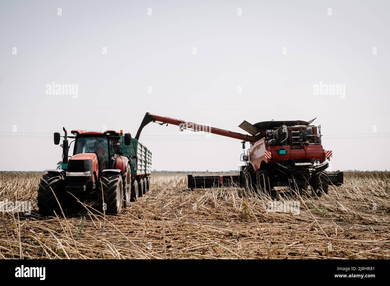 Ansicht der Umladung von landwirtschaftlichen Erntemaschinen, kombinieren, um den Anhänger, Entladen geernteten Sonnenblume. Stockfoto