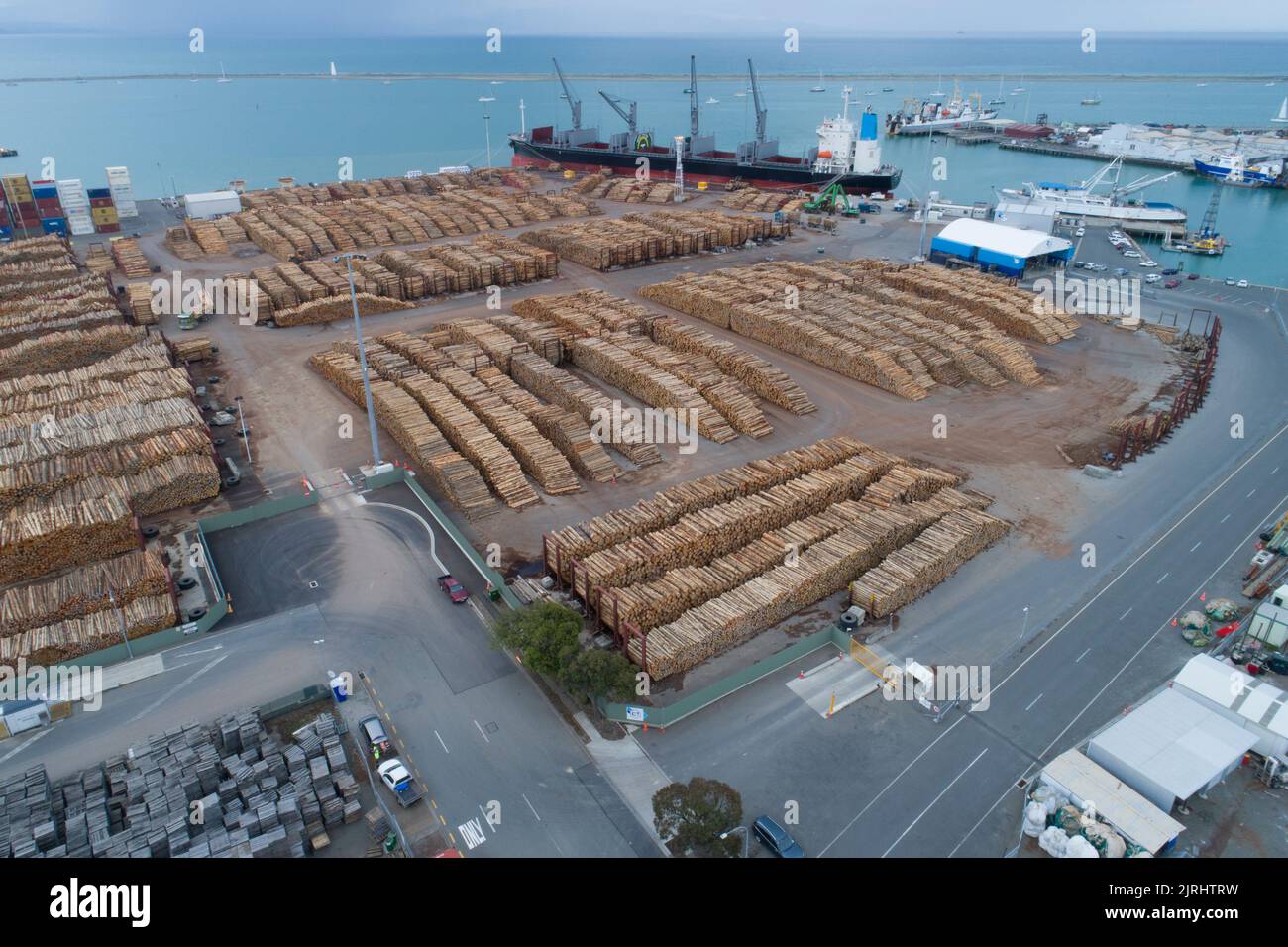 Holzfäller in Port Nelson, Neuseeland Stockfoto