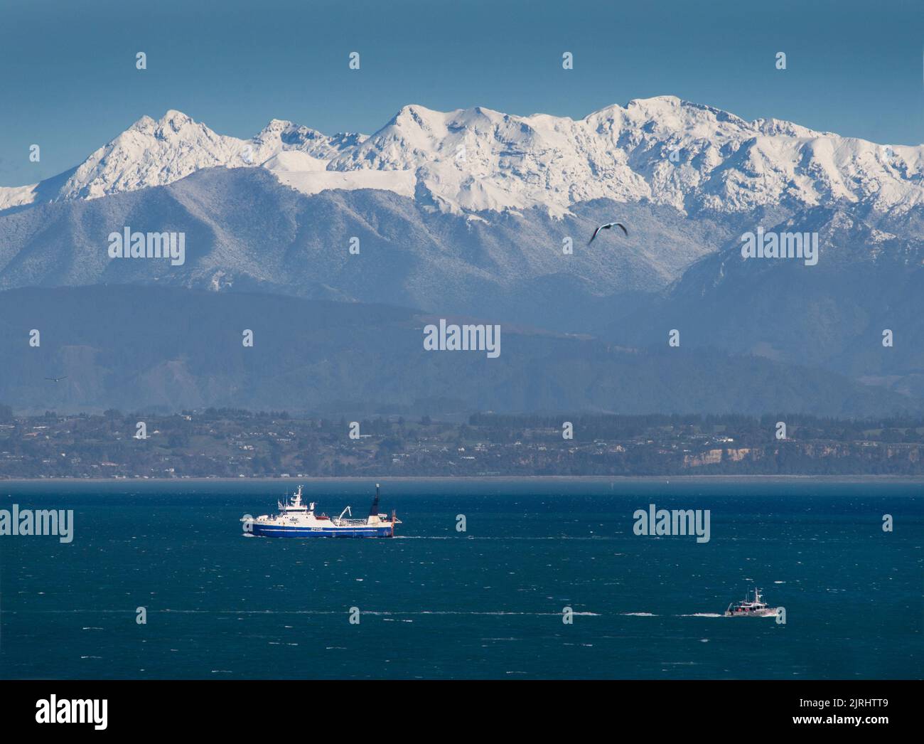 Das Fischerboot Rehua kommt zurück in Nelson, Neuseeland Stockfoto