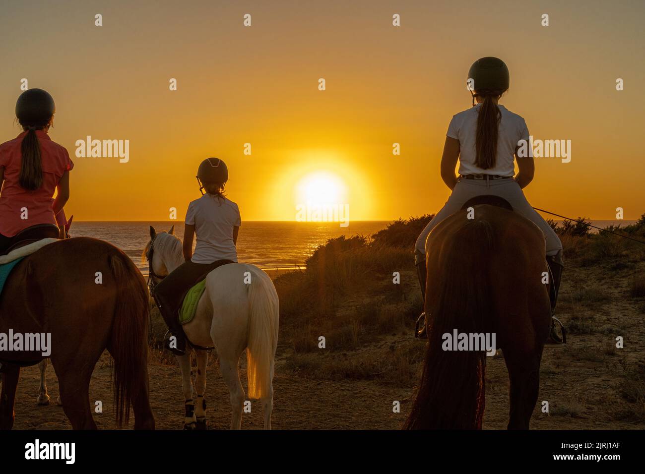 Mehrere junge Reiter beobachten den Sonnenuntergang auf dem Meer über einem Hügel Stockfoto