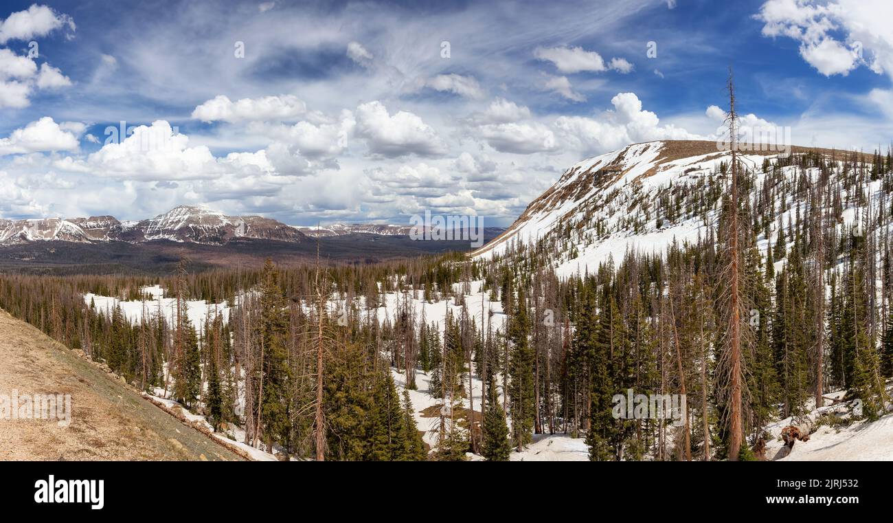 Mountain Pass im Uinta-Wasatch-Cache National Forest, Utah Stockfoto