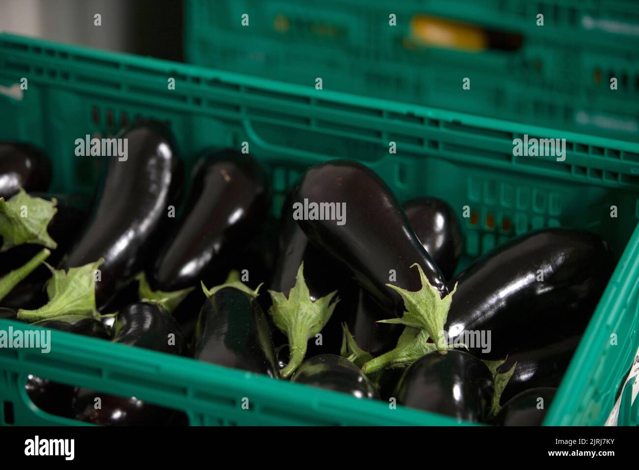 Frisches Gemüse in einem Großhändler in Nelson, Neuseeland Stockfoto