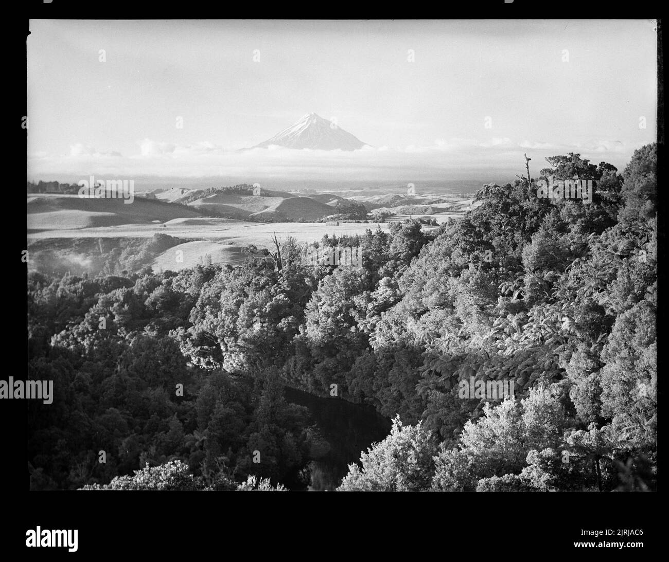 Mount Egmont von Awakino, 1940s, Taranaki, von J.W. Chapman-Taylor. Stockfoto