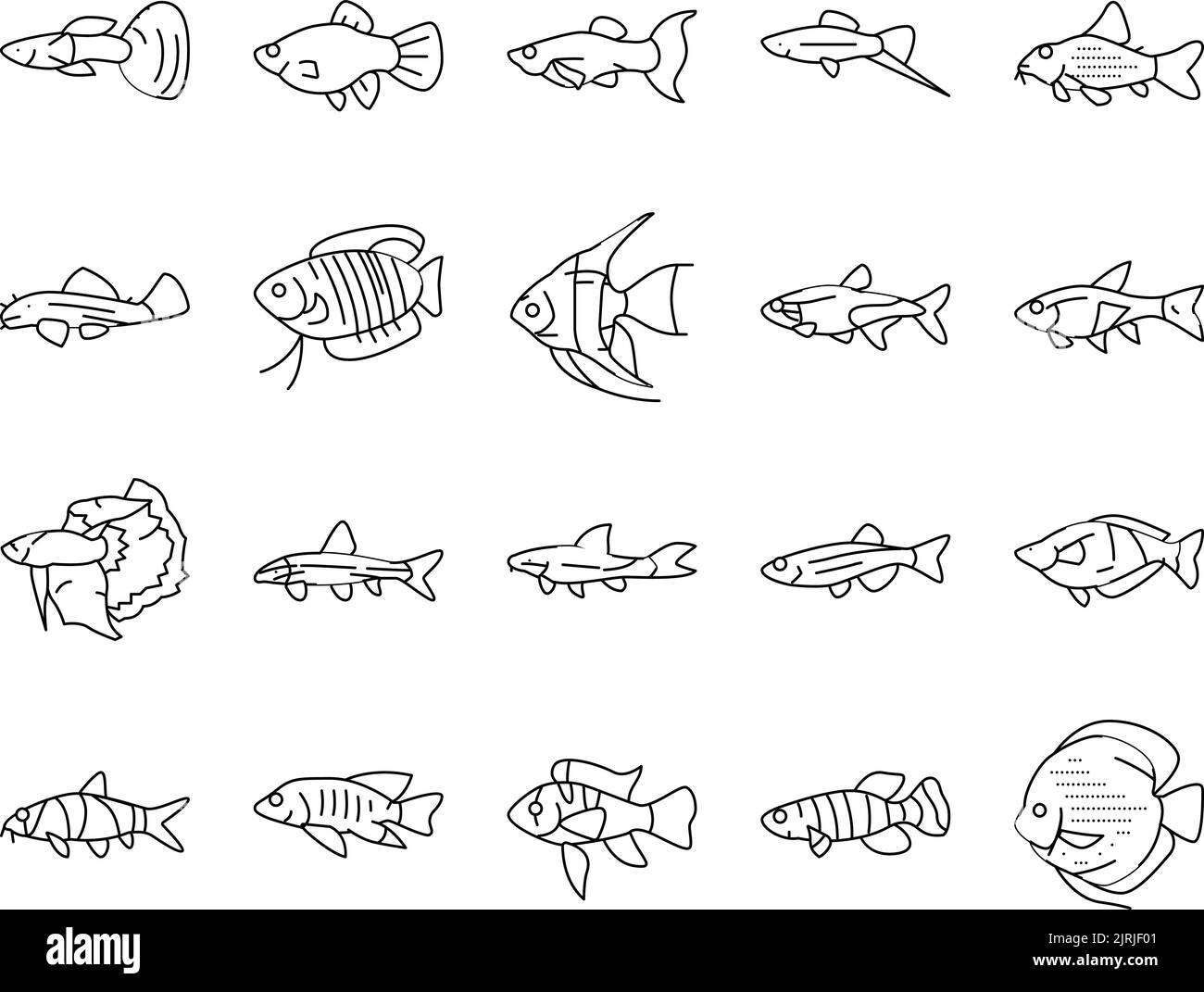 1108-56 02 1 Stock Vektor