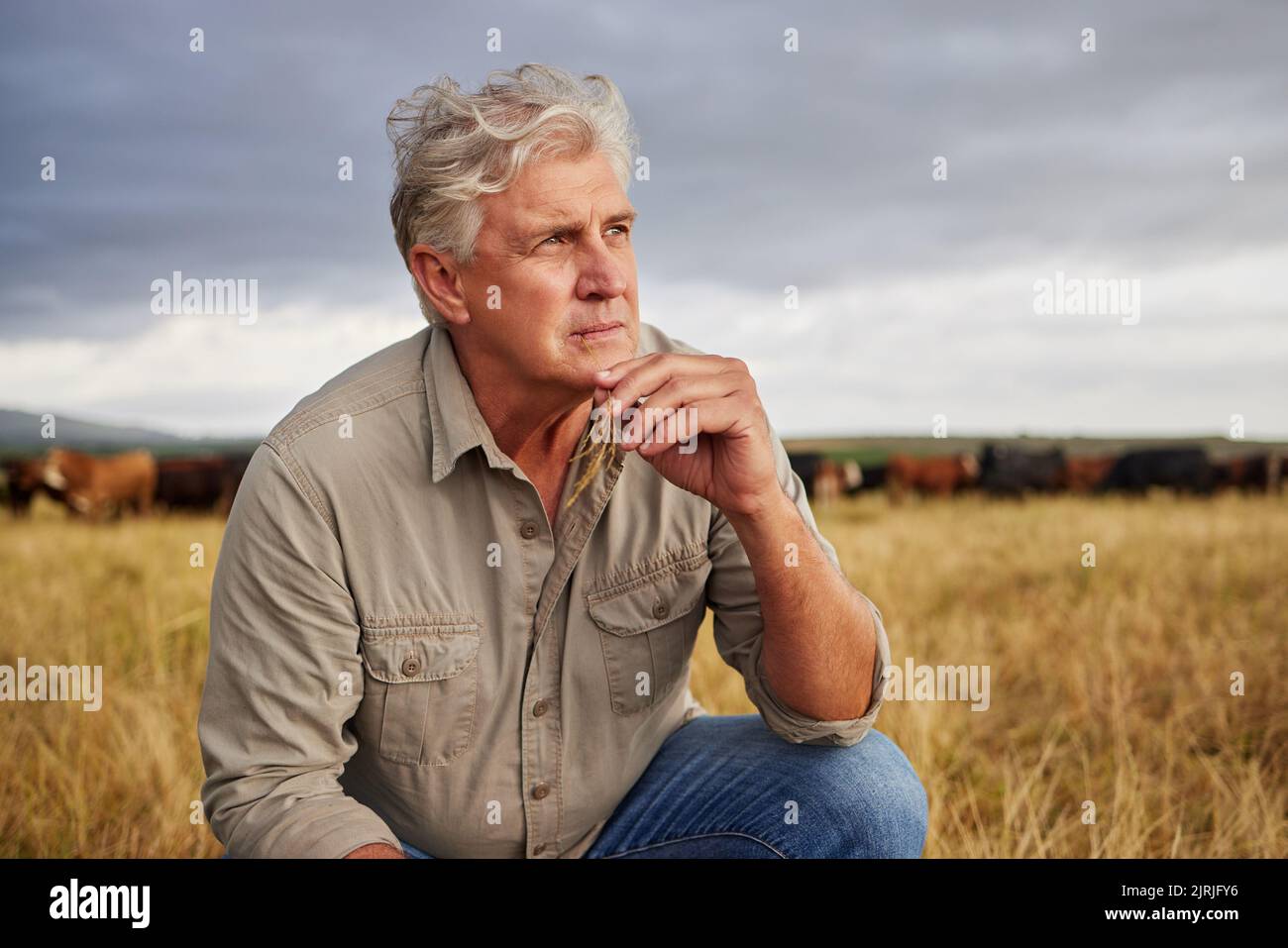 Die Einstellung eines Landwirts, der an einen Bauernhof mit Gewitterwolken am Himmel oder am Wetter denkt, um die Landwirtschaft im Freien oder auf dem Land zu betreiben. Nachhaltigkeitsmitarbeiter auf Stockfoto