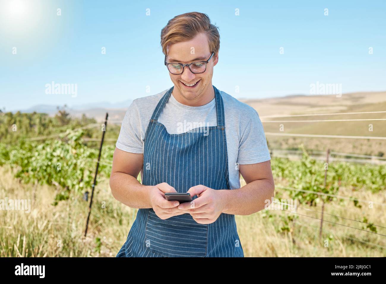 Telefon, Bauernhof und Wein mit einem Landwirt oder Winzer bekommt gute Nachrichten online in Weinberg. Nachhaltigkeit, Entwicklung und E-Commerce in der Landwirtschaft. Führend in Stockfoto