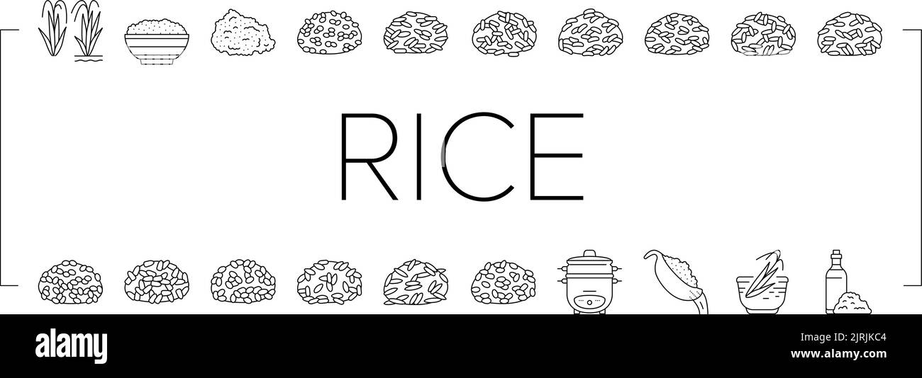 Reis Für Die Zubereitung Von Delicious Food Icons Set Vector Stock Vektor
