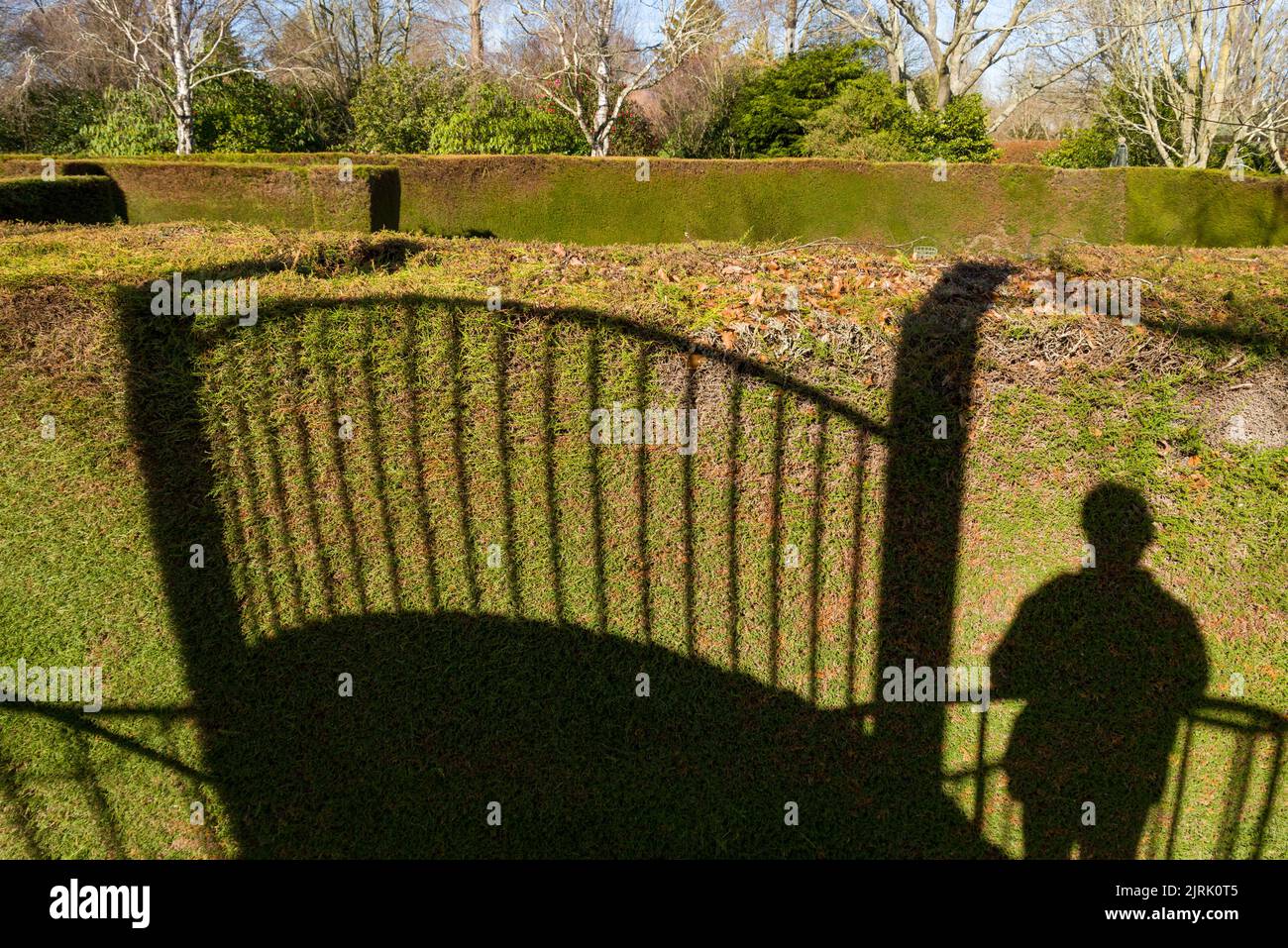 Schatten des Menschen im Trott's Community Garden im Winter Ashburton Neuseeland Stockfoto
