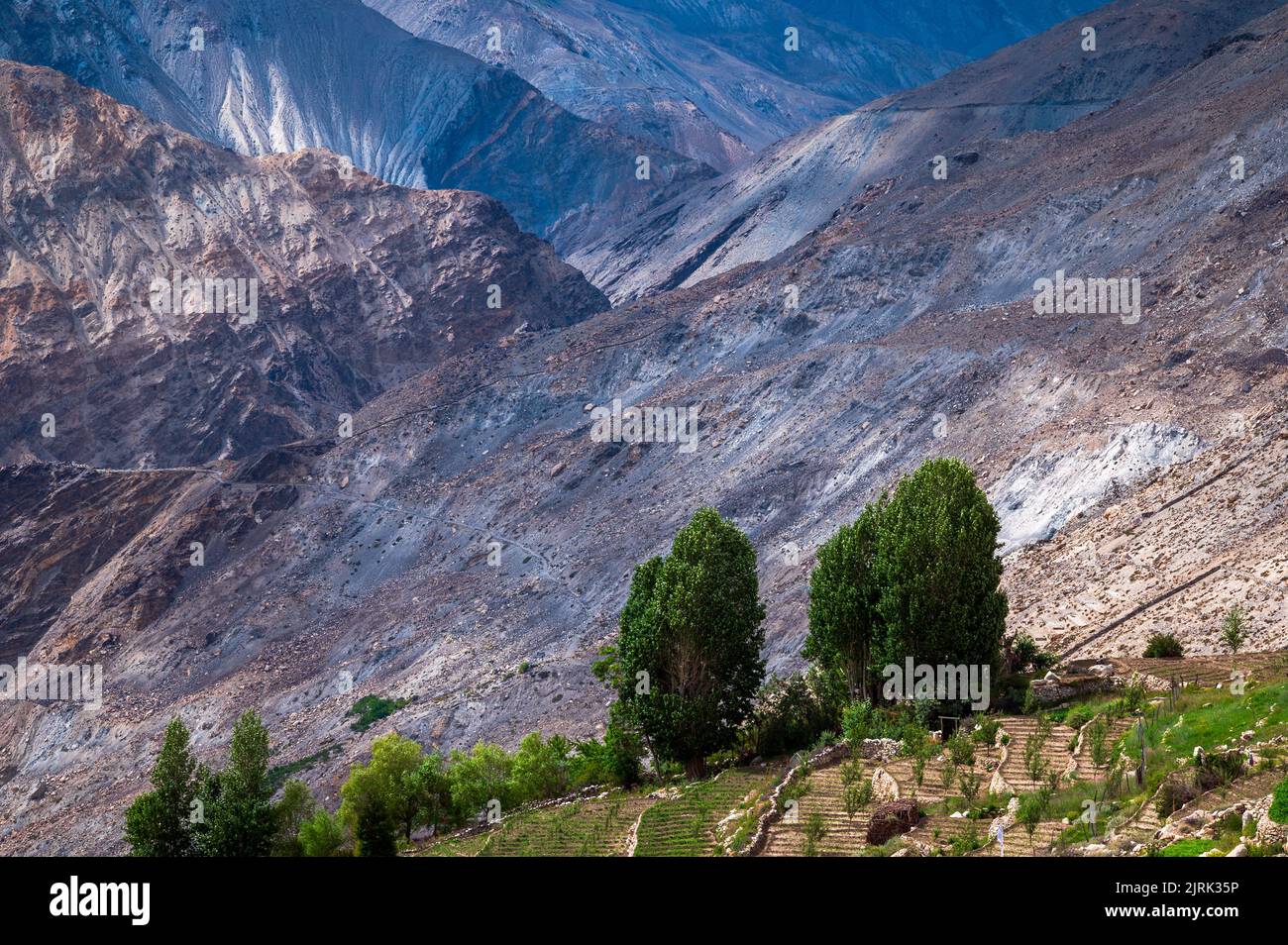 Landschaft in den Bergen. Malerisches Bergdorf flankiert von Feldern, Bäumen hohen Himalaya-Gipfeln im Spiti-Tal bei Nako, Himachal Pradesh. Stockfoto