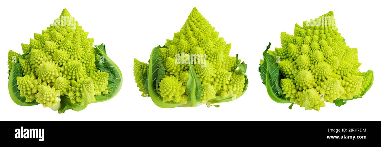 Romanesco Brokkoli-Kohl oder römischer Blumenkohl isoliert auf weißem Hintergrund. Set oder Collection Stockfoto