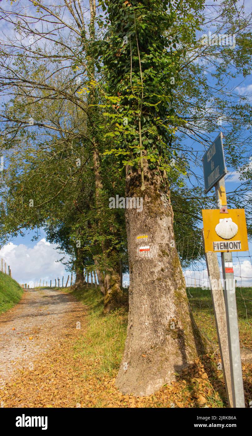 Landschaft des Camino de Santiago. Richtungsschild auf Camino Frances. Leere Straße auf dem Land. Wallfahrt Hintergrund, Frankreich. Stockfoto