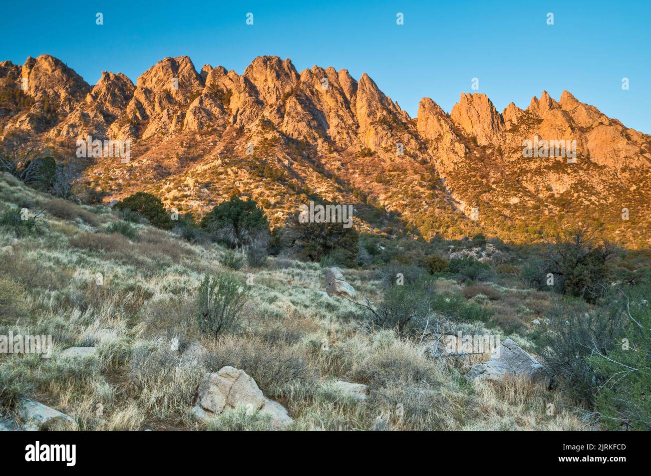 Orgelnadeln bei Sonnenaufgang, Blick vom Pine Tree Trail, Aguirre Spring Recreation Area, Organ Mountains Desert Peaks National Monument, New Mexico, USA Stockfoto
