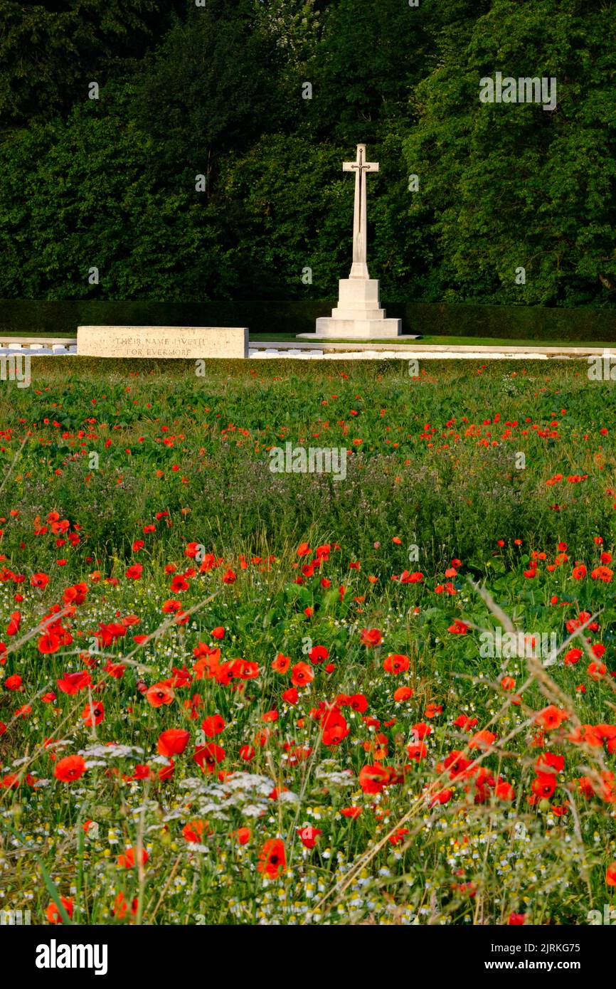 Mohnfeld mit Connaught Friedhof, Somme Stockfoto