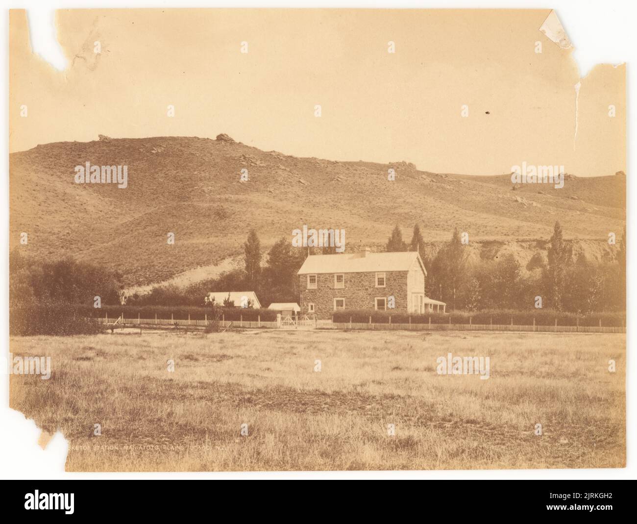 Puketoi Station, Maniatoto Plains, Otago, NZ, 1876-1886, Von Hart, Campbell & Co., William Hart. Stockfoto
