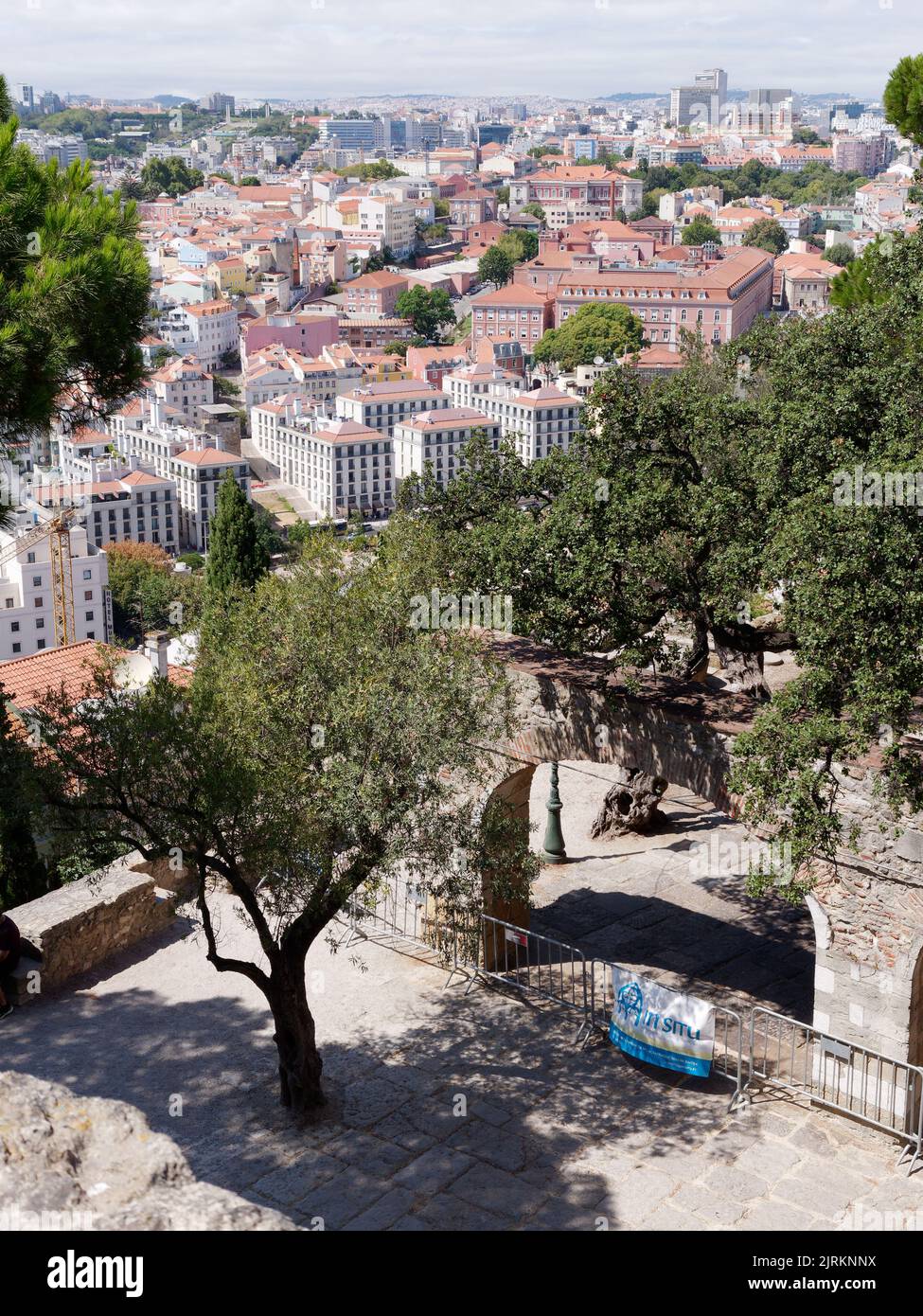 Blick von der Anlage von St. Schloss Georges über Lissabon, Portugal an einem Sommertag. Olivenbaum im Vordergrund. Stockfoto