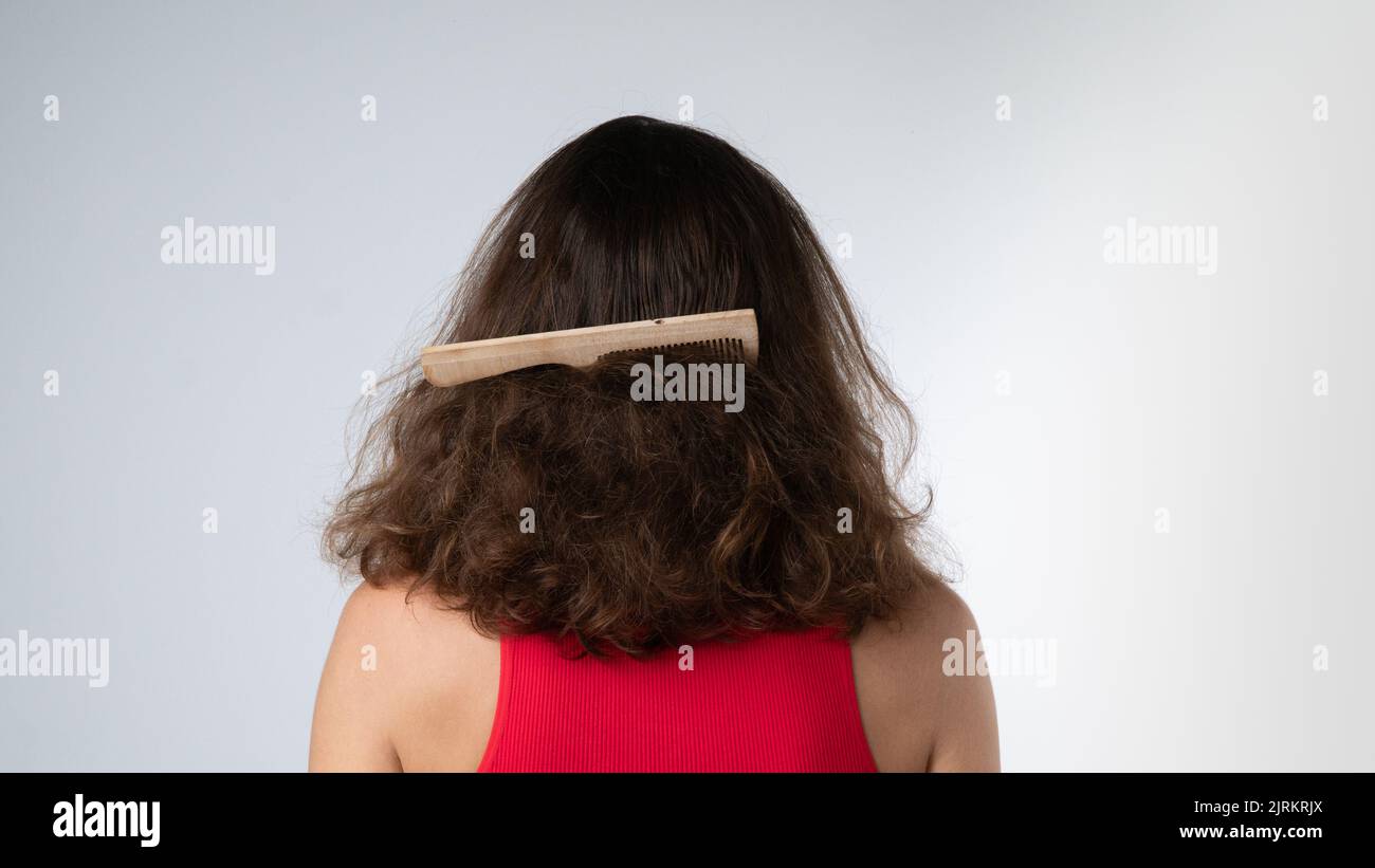 Kamm in den verfilzten Haaren einer Frau stecken, Kratzprobleme. Hochwertige Fotos Stockfoto