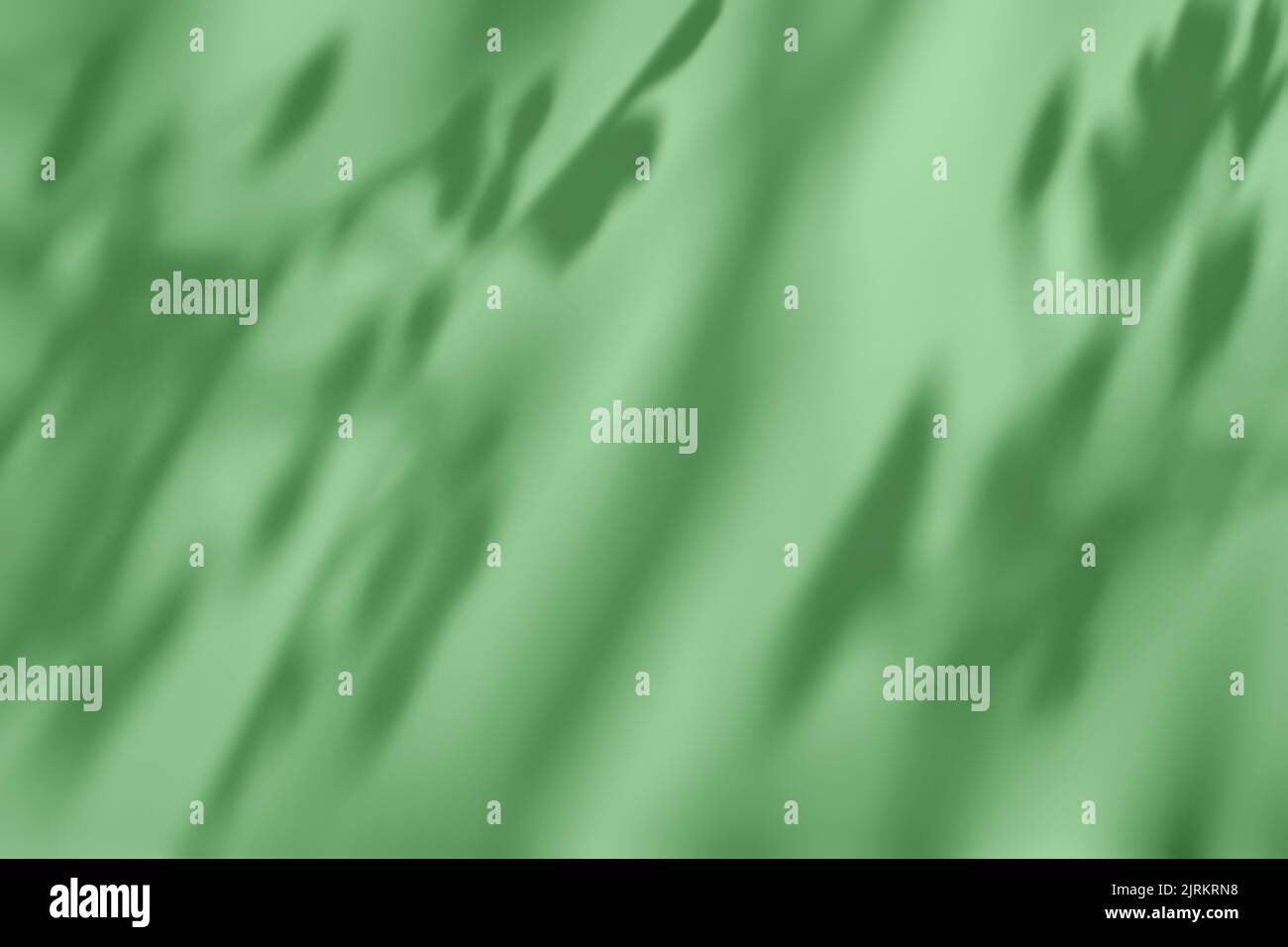 Schatten der Blätter auf grünem Beton Wand Textur Hintergrund Stockfoto