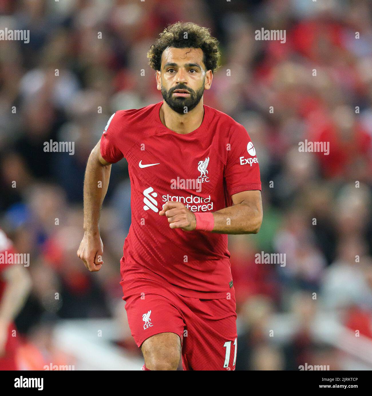 15 Aug 2022 - Liverpool gegen Crystal Palace - Premier League - Anfield Liverpools Mohamed Salah während des Spiels der Premier League in Anfield. Picture : Mark Pain / Alamy Live News Stockfoto