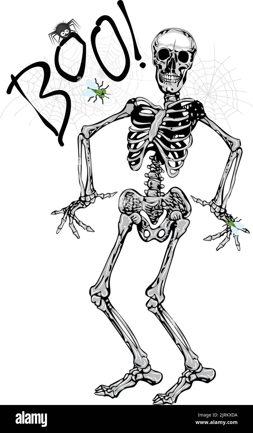 tanzendes Skelett, das eine Boo Spinne trägt Stock Vektor