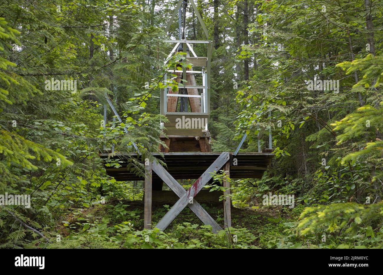 Seilbahn am Blaeberry River in British Columbia, Kanada, Nordamerika Stockfoto