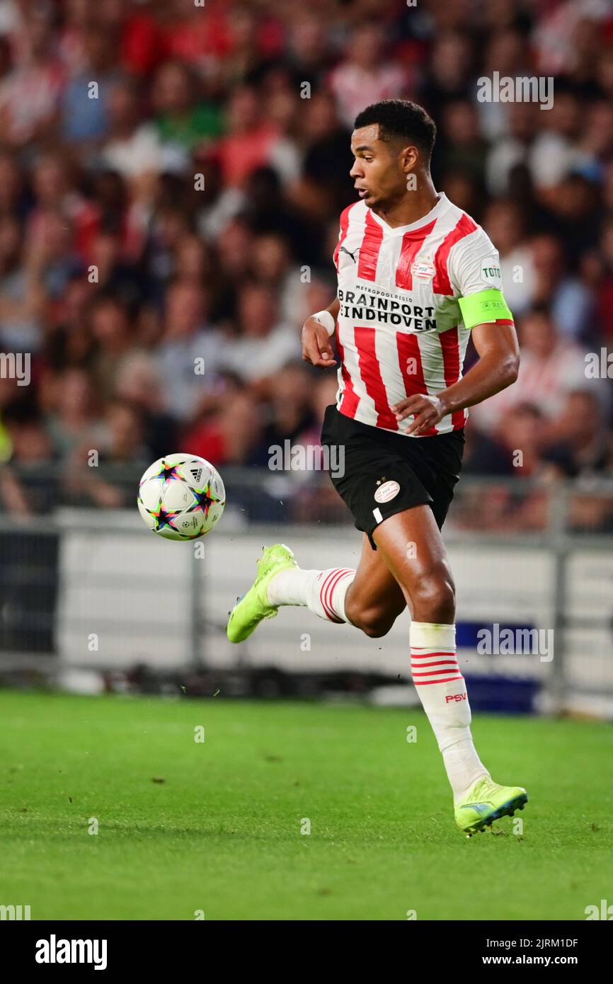 EINDHOVEN - Cody Gakpo vom PSV während des UEFA Champions League-Play-off-Spiels zwischen PSV Eindhoven und dem Rangers FC am 24. August 2022 im Phillips Stadium in Eindhoven, Niederlande. ANP OLAF KRAAK Stockfoto