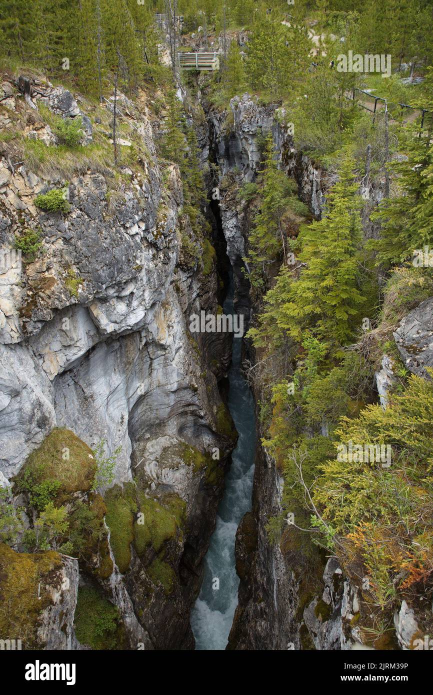 Marble Canyon im Kootenay National Park in British Columbia, Kanada, Nordamerika Stockfoto