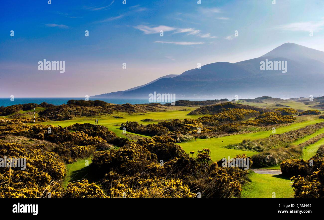 Der Royal County Down Golf Course, Newcastle, Nordirland Stockfoto
