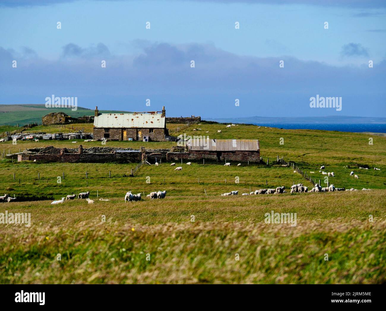 Faray, Orkney, Schottland Stockfoto