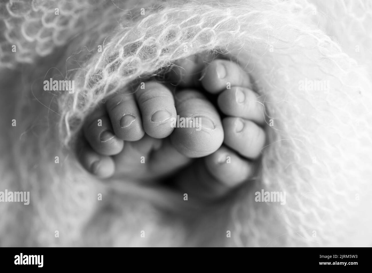 Weiche Füße eines Neugeborenen in einer Decke Nahaufnahme der Zehen, Fersen und Füße eines Babys. Stockfoto