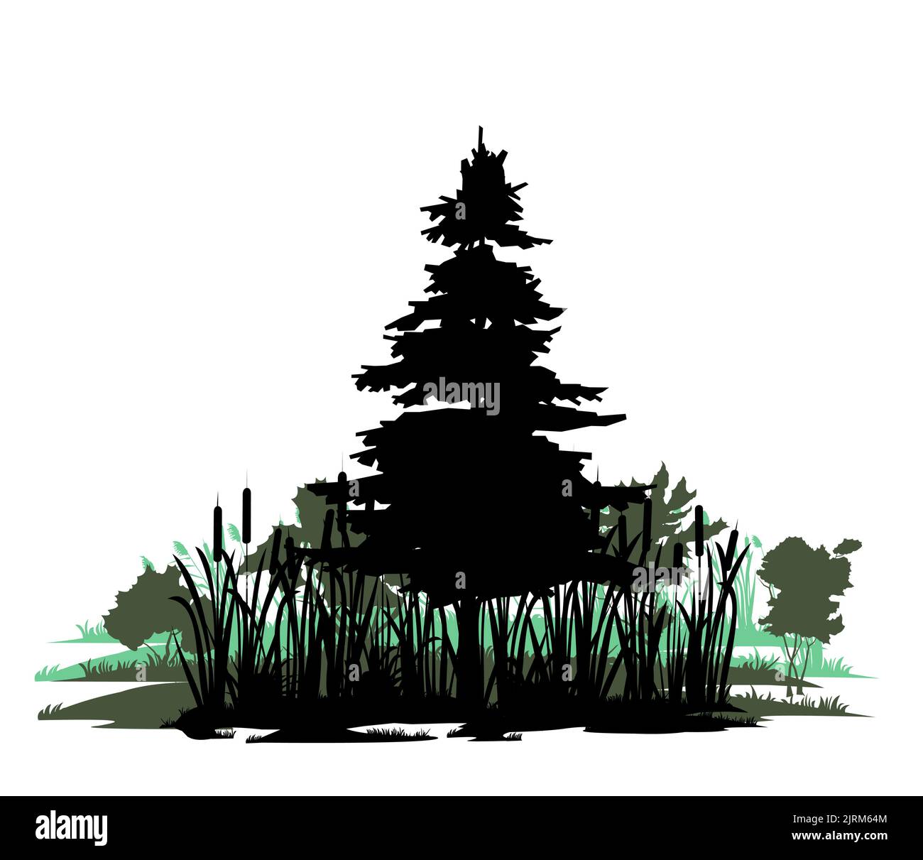 Baum im Sumpf. Nadelpflanze Kiefer. Landschaft mit Bäumen und Gras. Silhouettenbild. Isoliert auf weißem Hintergrund. Vektor Stock Vektor