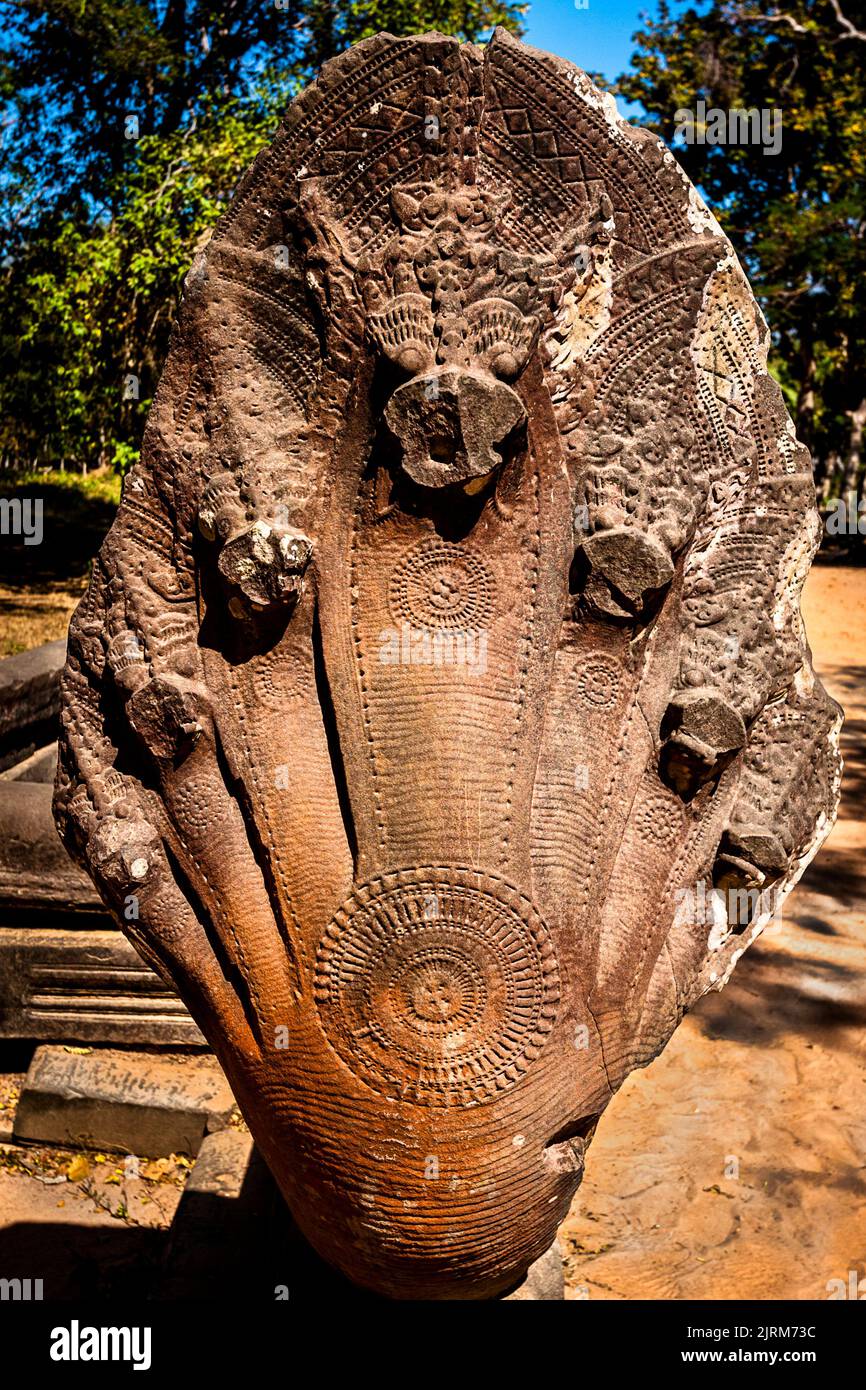 Am Eingang zum Beng Melia Angkor Tempel begrüßt ein Steinschlange Cobr Head die Touristen. Stockfoto