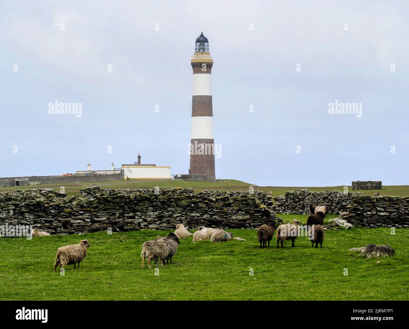 Leuchtturm, North Ronaldsay, Orkney, Schottland Stockfoto