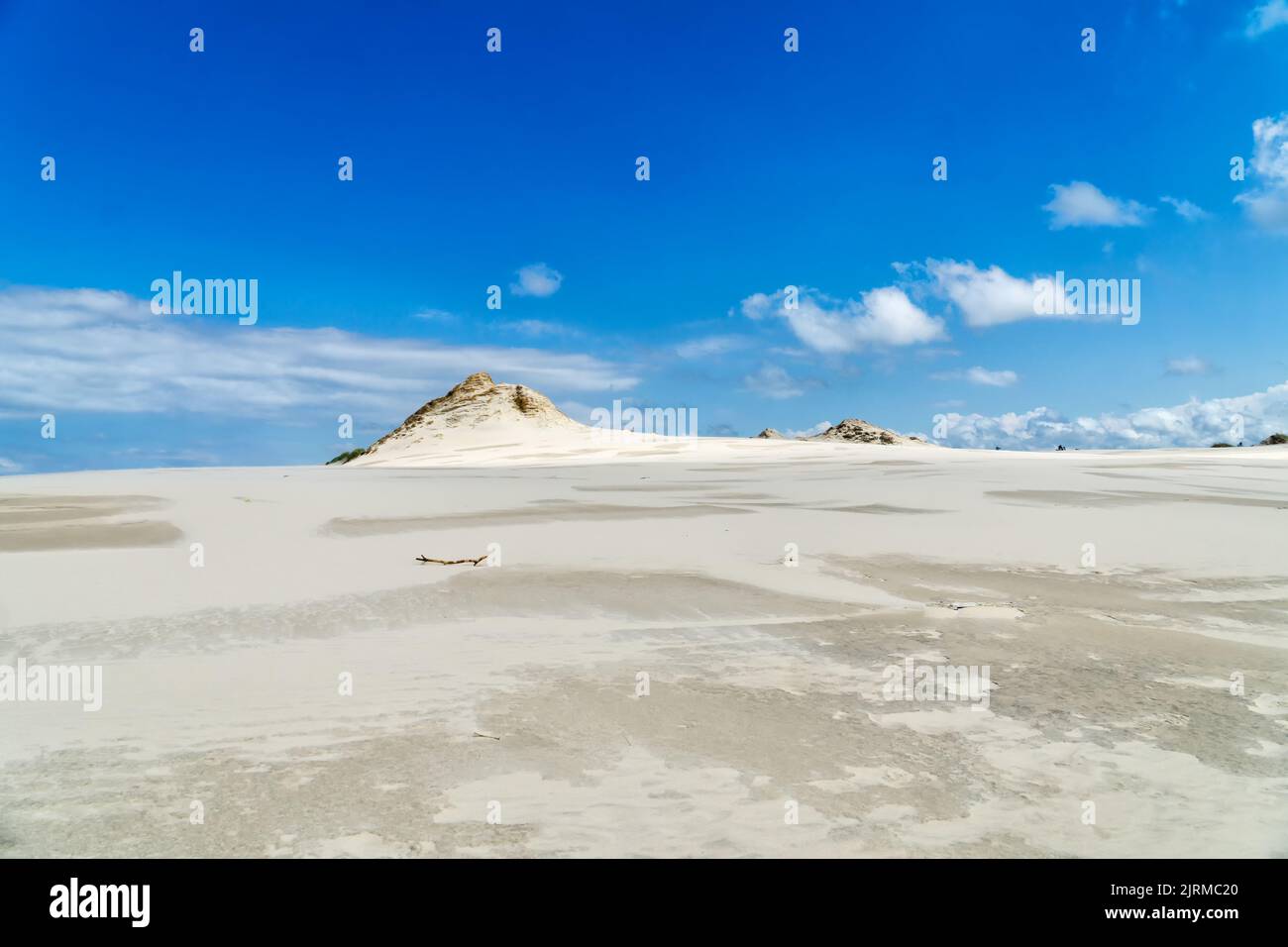 Lacka-Düne im Slowinski-Nationalpark in Polen, ein Wunder der Natur. Wanderdüne an sonnigen Sommertagen. Sandstrand und blauer Himmel mit weißen Wolken. Stockfoto