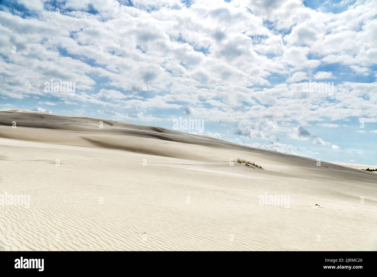 Sandige Düne mit einem Grashalm und blauem Himmel mit weißen Wolken. Lacka-Düne im Slowinski-Nationalpark in Polen, ein Wunder der Natur. Wanderdüne Stockfoto