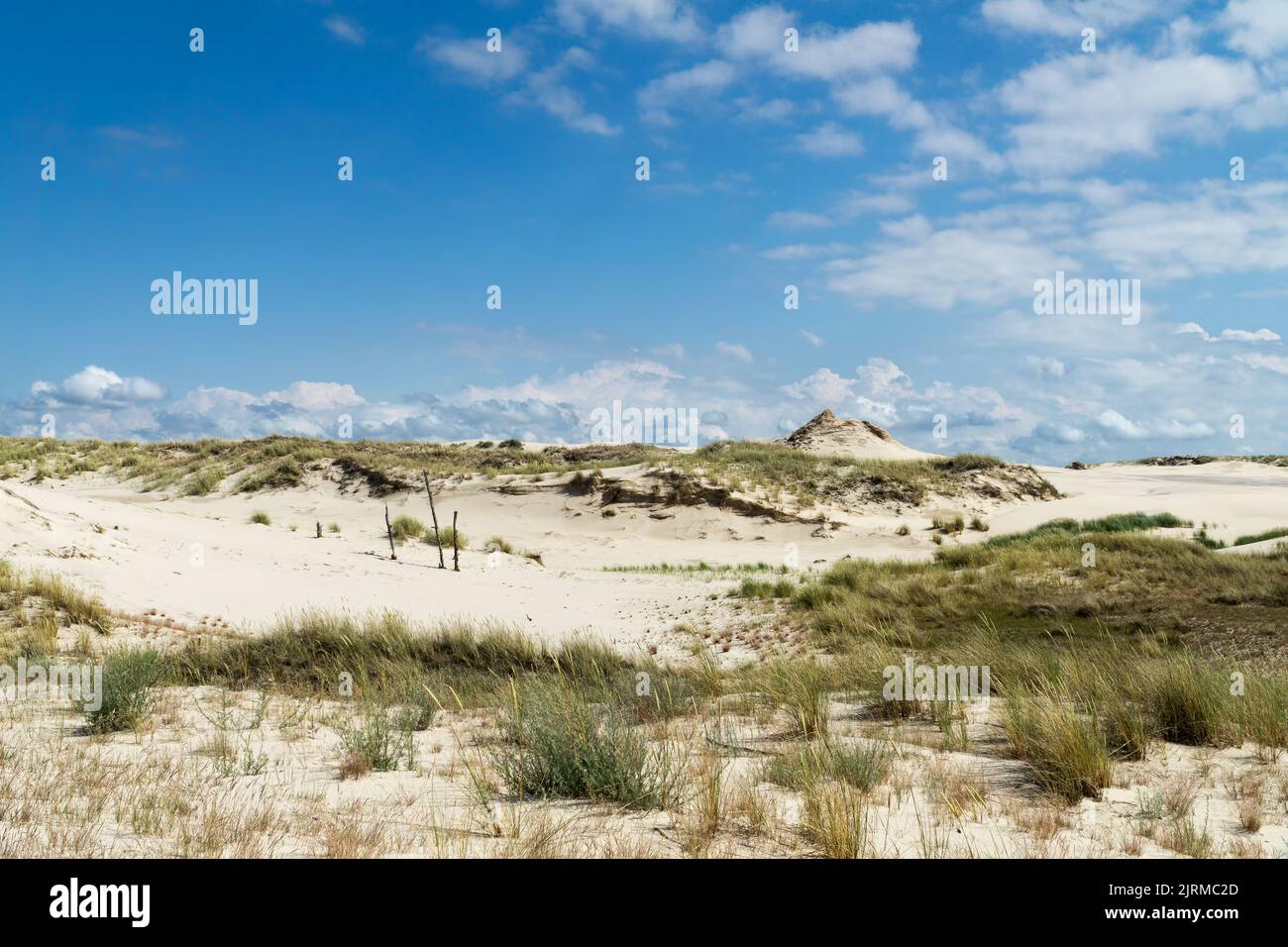 Sanddünen, die von Grasklumpen überwuchert sind, und blauer Himmel mit weißen Wolken an sonnigen Sommertagen. Lacka-Düne im Slowinski-Nationalpark in Polen, eine mira Stockfoto