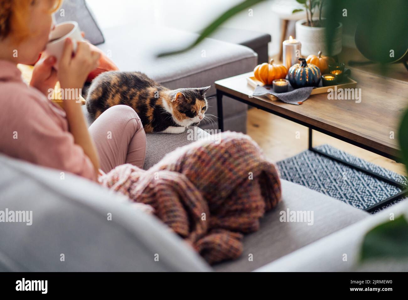 Mehrfarbige Haustier Katze sitzt mit Frau in Karo, die heißen Tee trinkt, Film, TV auf dem Sofa bei dekoriert für Herbst Urlaub zu Hause. Gemütlich ein Stockfoto
